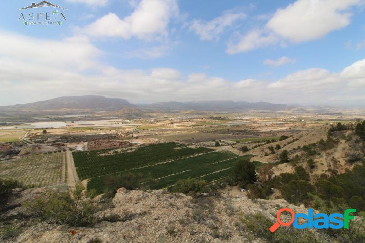 SE VENDE FINCA R\xc3\x9aSTICA EN PRODUCCI\xc3\x93N EN MONFORTE