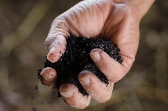 Biochar 2lb enmienda de suelo orgánico y fertilizante - Biochar 2lb enmienda de suelo orgánico y fertilizante -