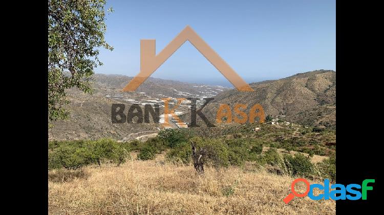 SE VENDEN 3 H/xc3/x89CTAREAS DE TERRENO EN SORVIL/xc3/x81N -GRANADA-
