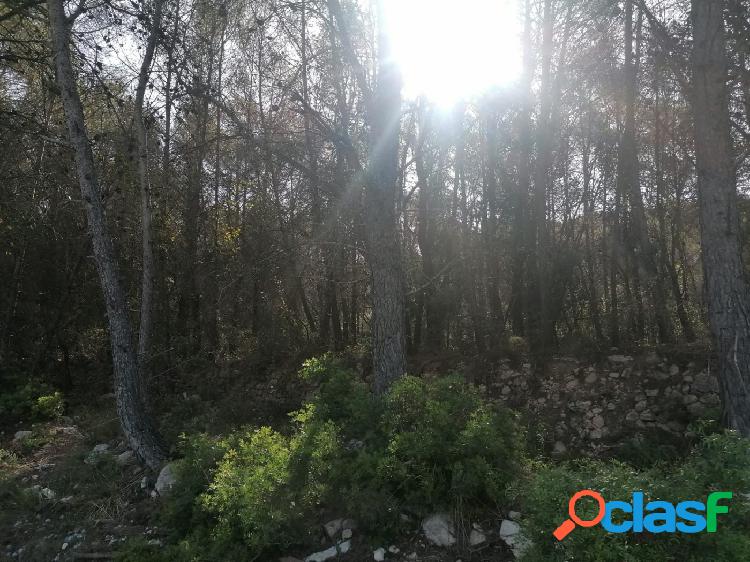 Gran parcela en Valles altos 3