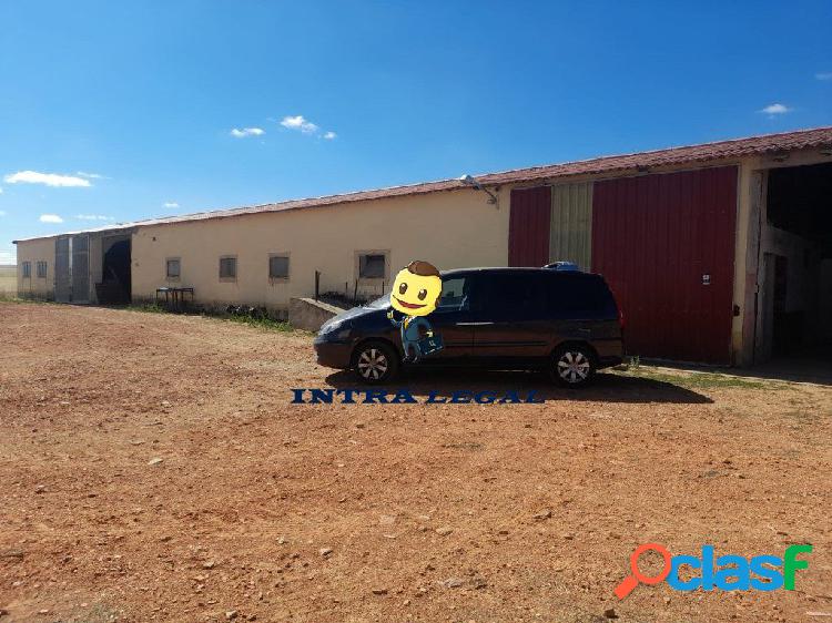 Explotaci/xc3/xb3n Porcina en San Marcial- Provincia de Zamora. 1