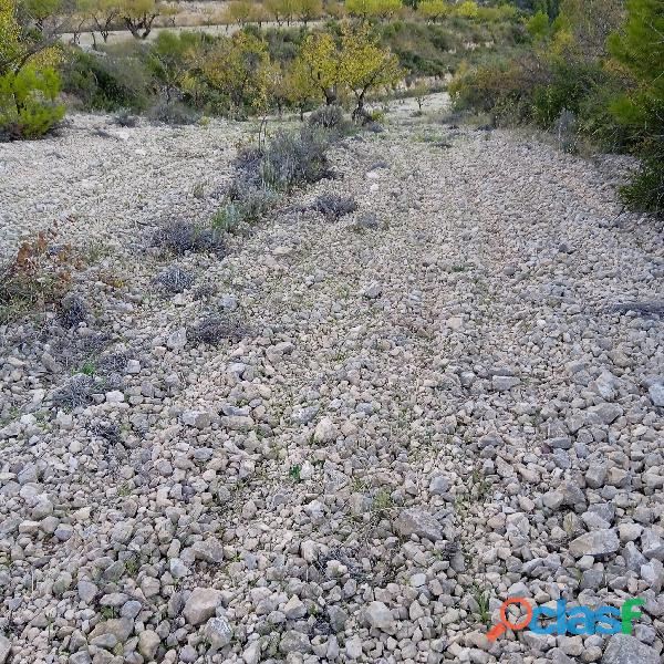 TERRENO EN VENTA 10