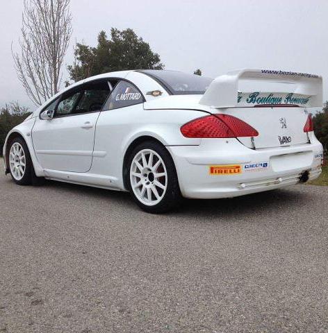 Peugeot 307 wrc full spec ex rovanpera