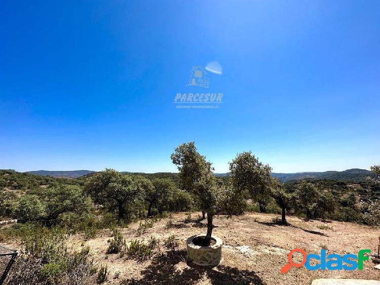 FINCA HIPOTECABLE EN VILLAHARTA / POZOBLANCO 3