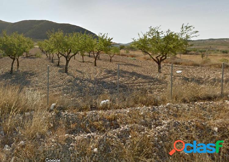 Parcela en barbarroja 1