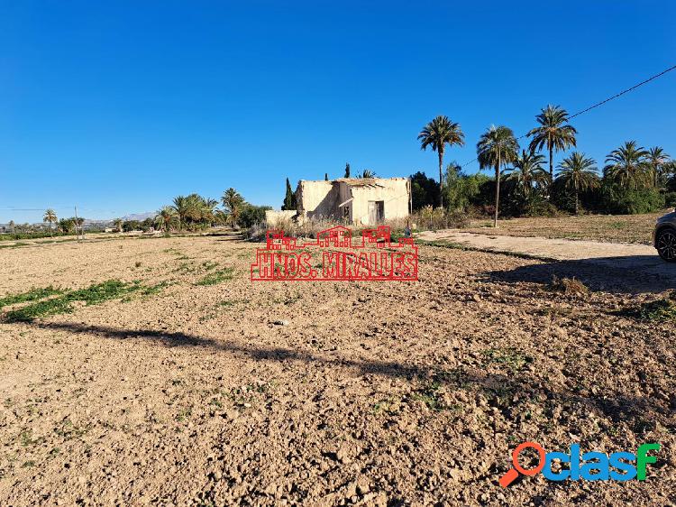SE VENDE FINCA RURAL EN LA PARTIDA DE PU\xc3\x87OL (A 5 KM DE ELCHE)