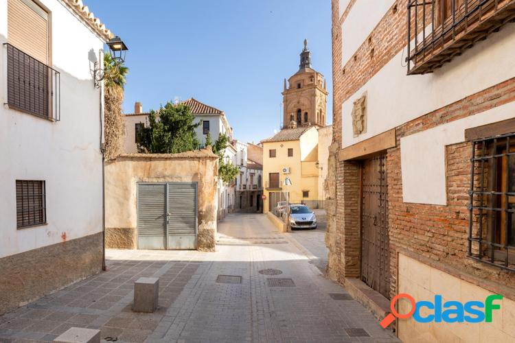 DETR/xc3/x81S DE LA CATEDRAL DE GUADIX 6