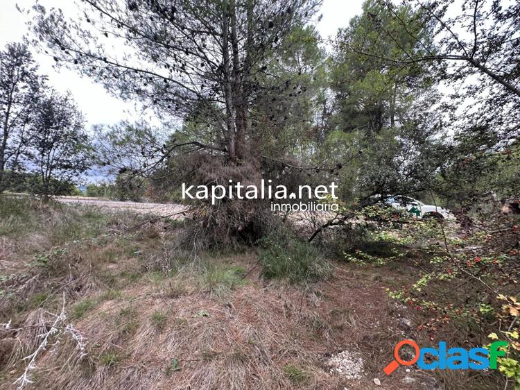 Parcela a la venta en Alfafara 4