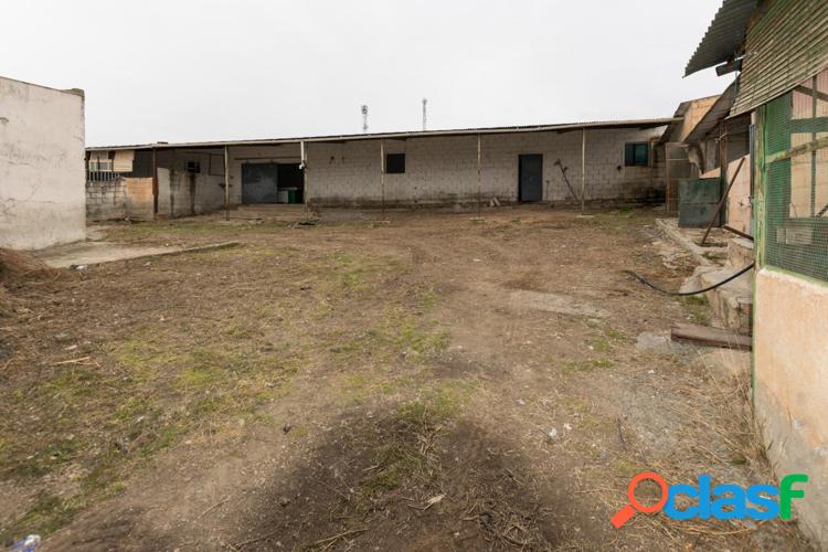 Terreno con almacen industrial a escasos minutos de autov/xc3/xada en Moraleda de Zafayona 6