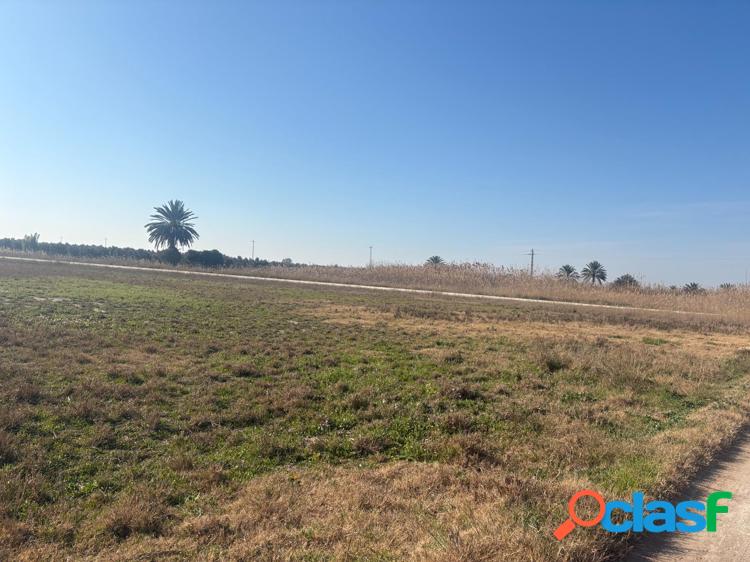 TERRENO DE 12000 METROS EN DAIMES