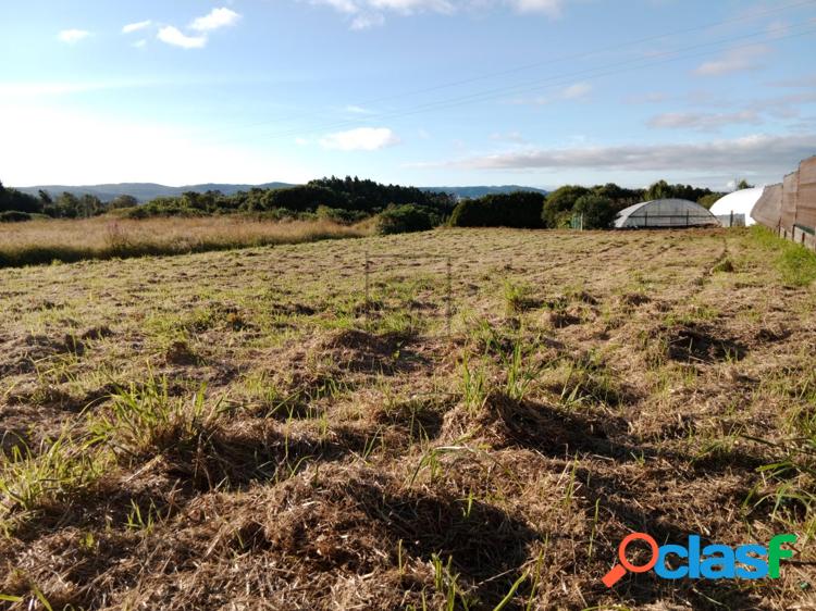 TERRENO EDIFICABLE EN FRANZA-MUGARDOS 5
