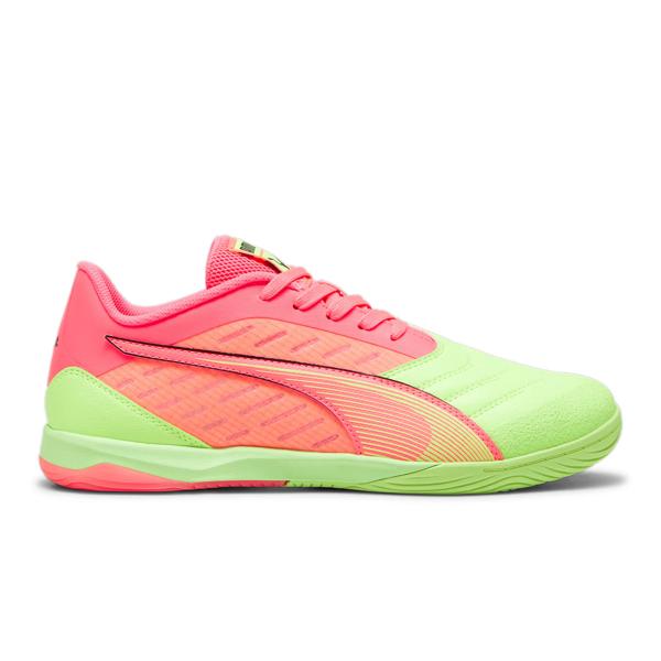 Puma ibero iv