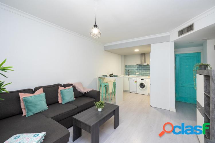 APARTAMENTO 1 DORMITORIO EN PLENO CENTRO DE GRANADA 1