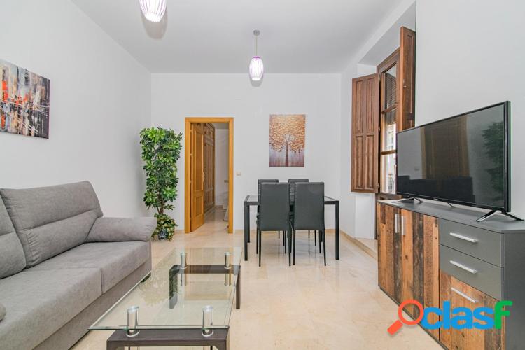 Apartamento c/xc3/xa9ntrico en Granada Capital 1