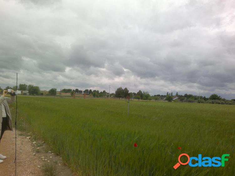 FINCA RUSTICA DE 80 h VI\xc3\x91A EMPARRADA