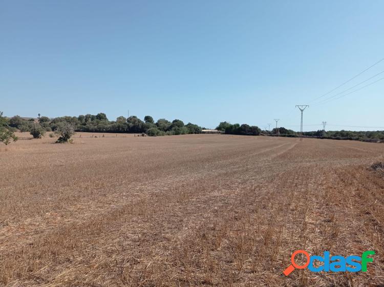 FINCA R/xc3/x9aSTICA CON LICENCIA EN TR/xc3/x81MITE 5