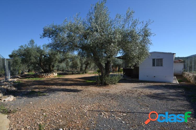Finca R/xc3/xbastica en Venta en Freginals 4