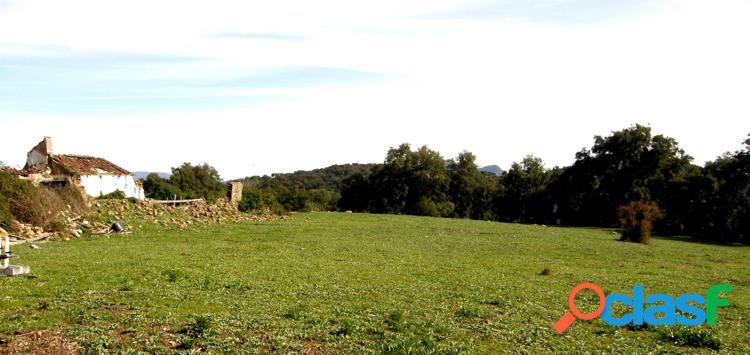 PARCELA