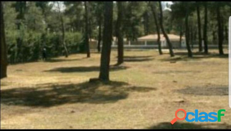 PARCELA EN VENTA