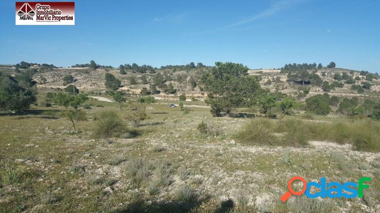 Parcela rustica en Albacete 6