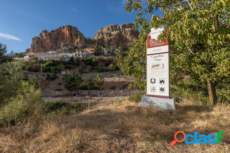 PARCELA URBANA EN COGOLLOS VEGA 4