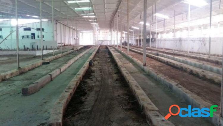 Se vende granja 4
