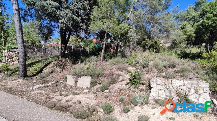 Tegeisa vende parcela llana en Avenida Principal 2