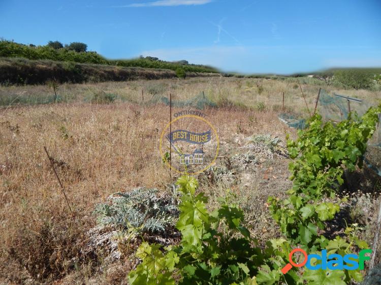 TERRENO CON REFUGIO EN AGULLENT 6