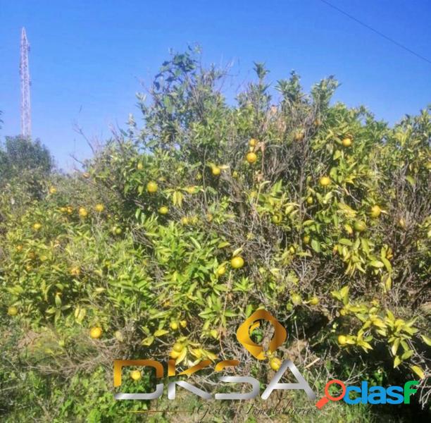 Terreno r/xc3/xbastico cerca de la Avenida del Mar de Castell/xc3/xb3n 4