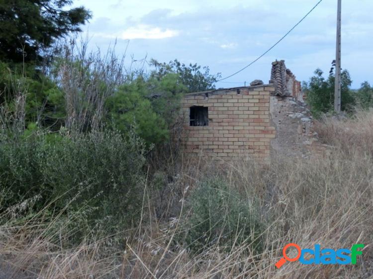 Finca r/xc3/xbastica de regadio con caseta. 2