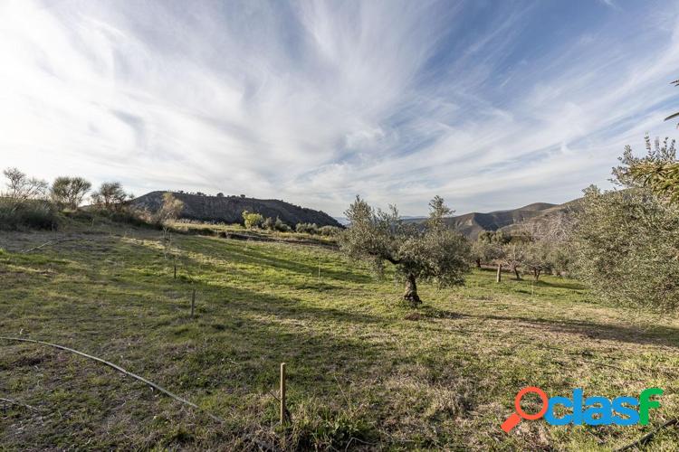 Finca r/xc3/xbastica en Monachil 4