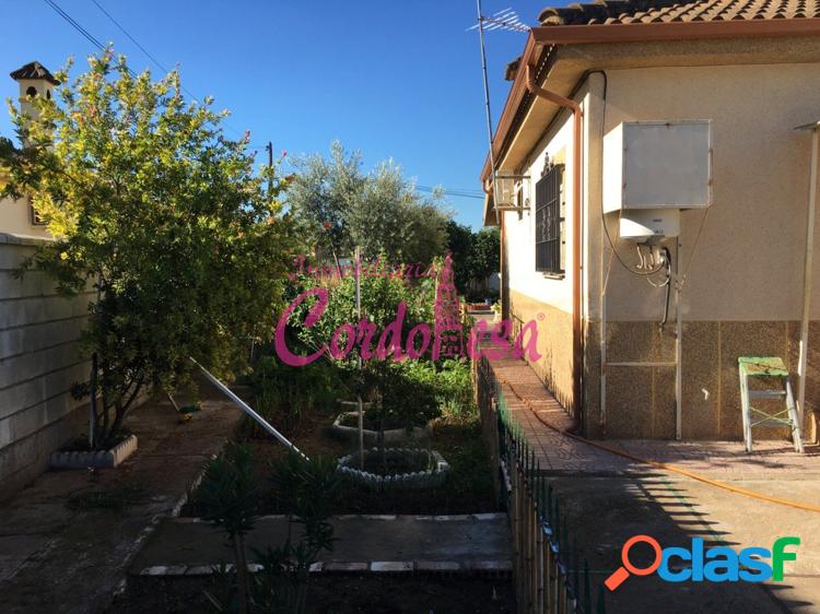 MAGNIFICO CASA CON TERRRENO EN ALCOLEA!! 4