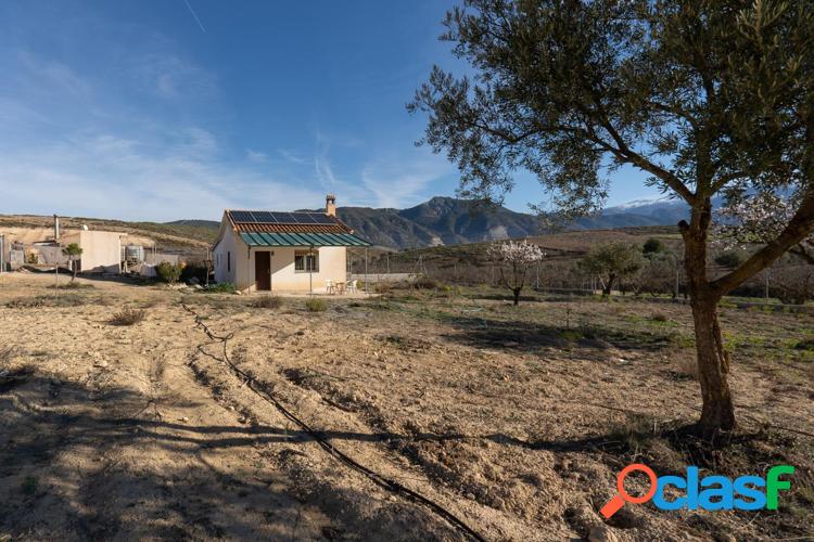 Magn\xc3\xadfica finca r\xc3\xbastica en El Padul