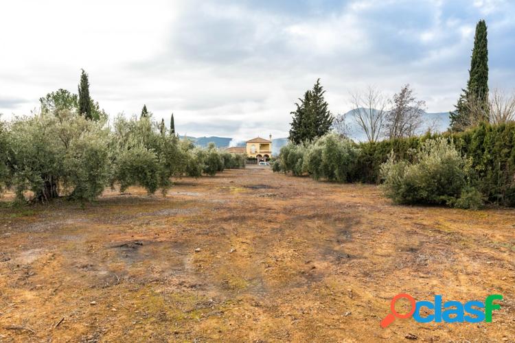 Parcela Urbana consolidada con 2.558 m2, en la Urbanizaci\xc3\xb3n Los Cortijos.