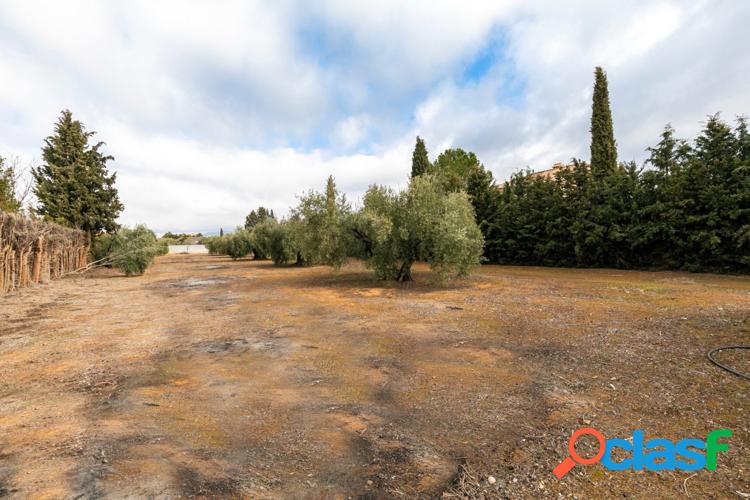 Parcela Urbana consolidada con 2.558 m2, en la Urbanizaci/xc3/xb3n Los Cortijos. 2