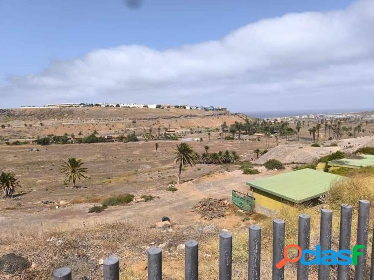 Terreno en El Cortijo 3