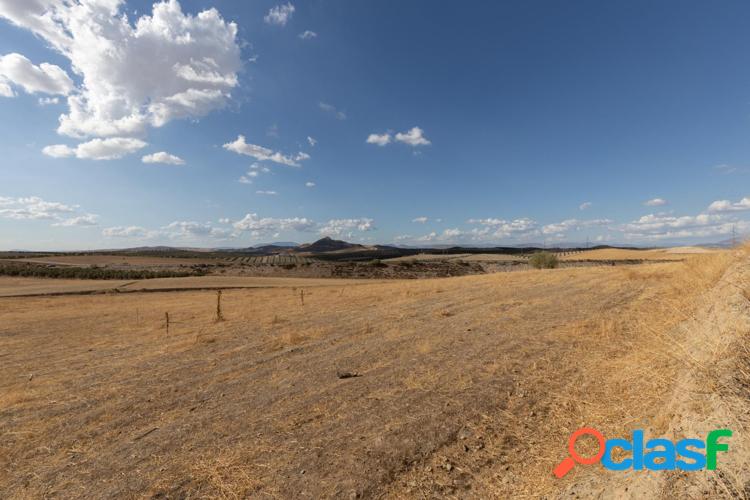 TERRENO R/xc3/x9aSTICO DE 28.397M2 EN OTURA 2