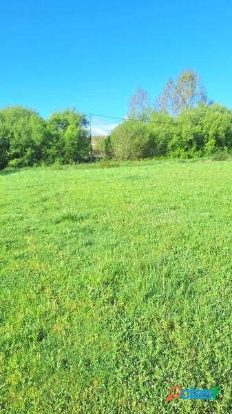 VENTA FINCA R/xc3/x9aSTICA SAN ANDR/xc3/x89S DE MONTEJOS 5