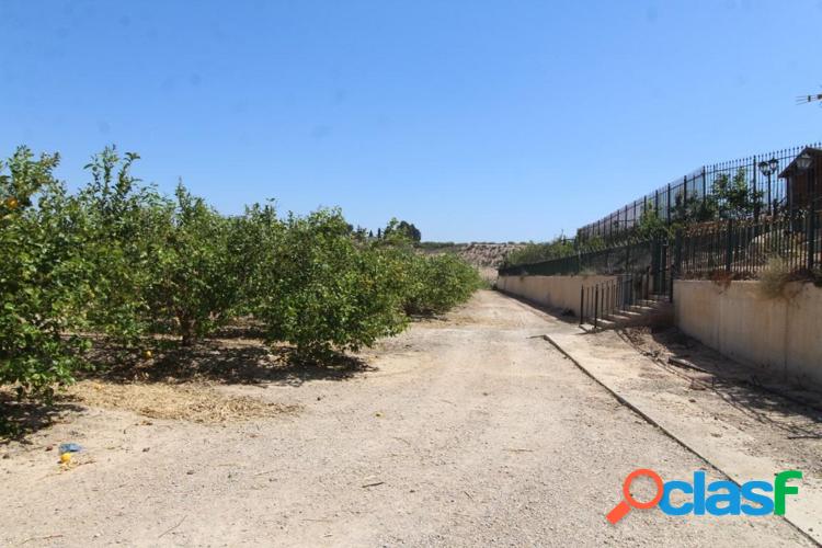 FINCA CON EXPLOTACI/xc3/x93N AGR/xc3/x8dCOLA 1