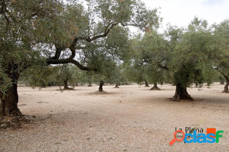 FINCA "ROSSEC" EN VENTA EN GODALL (TARRAGONA) 4