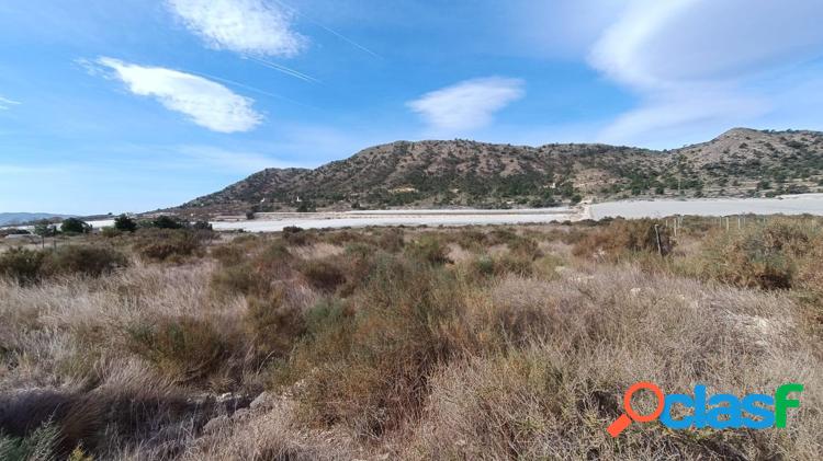 Finca r/xc3/xbastica en Novelda 3