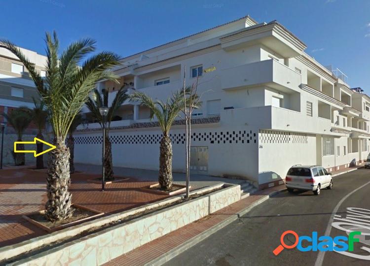 LOCAL COMERCIAL EN ABANILLA 4