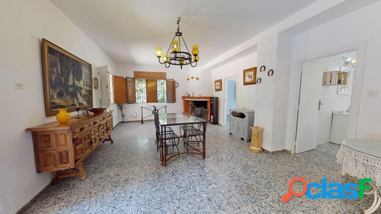 MAGNIFICA FINCA R/xc3/x9aSTICA DE 10.000 MTS CUADRADOS, EN LA SIETE FINCAS (ASUAN), 5