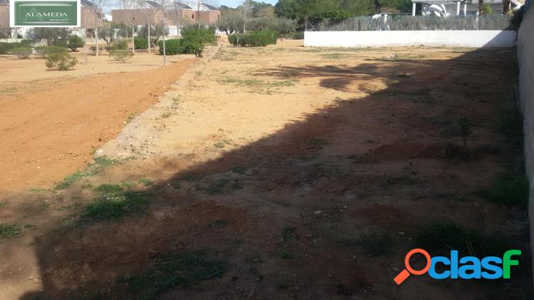 PARCELA EN TORRE EN CONILL 6