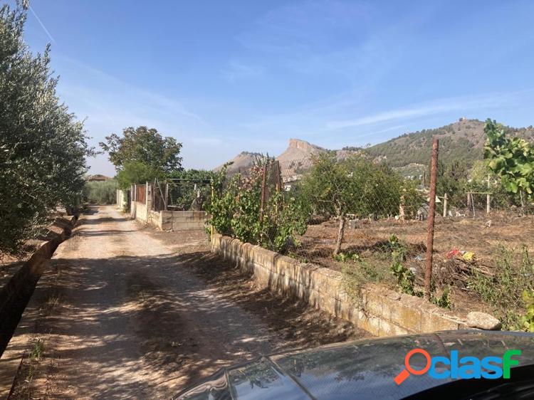 PARCELA R/xc3/x9aSTICA EN ALBOLOTE 5