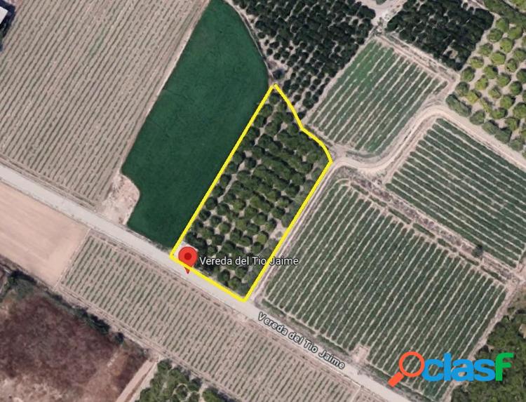 PARCELA R\xc3\x9aSTICA EN VENTA SANTOMERA