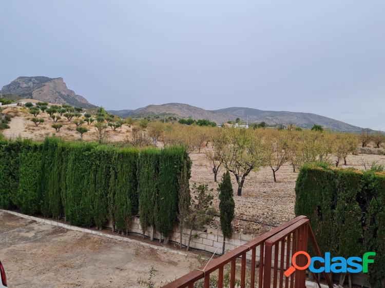 PRECIOSO CHALET EN SALIENTAS DE PETRER! 6