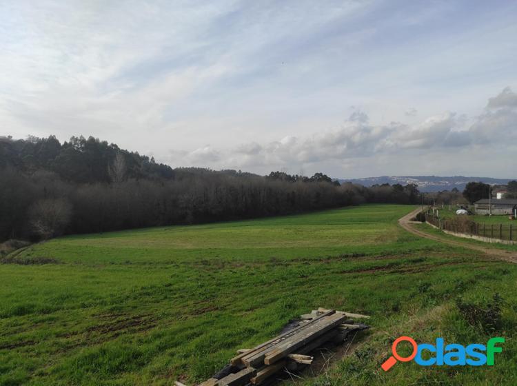 SE VENDE FINCA FORESTAL 1