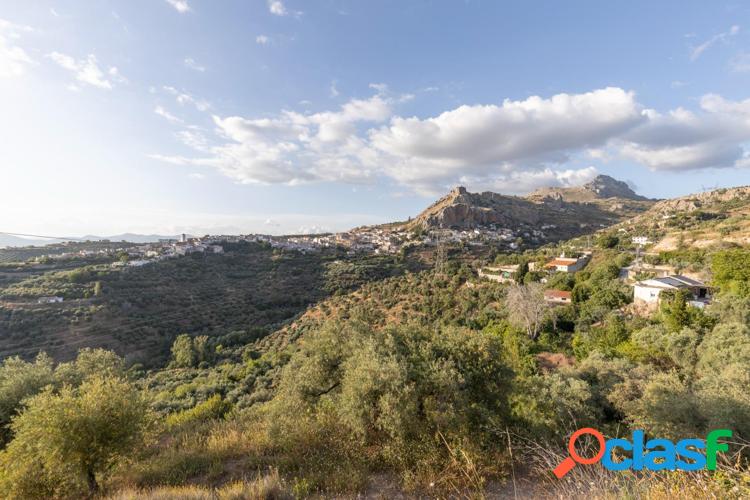 Se vende parcela urbana en Cogollos Vega 3