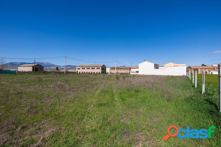 Solar Urbano en Fuente Vaqueros 4